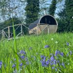 Wood-fired sauna cabin in secluded woodland at Birch Cottage