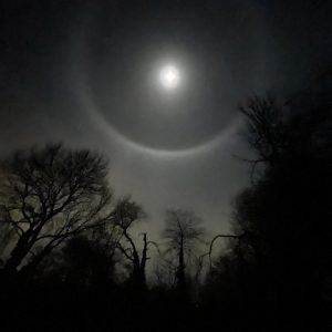 A picture of the moon on a clear night