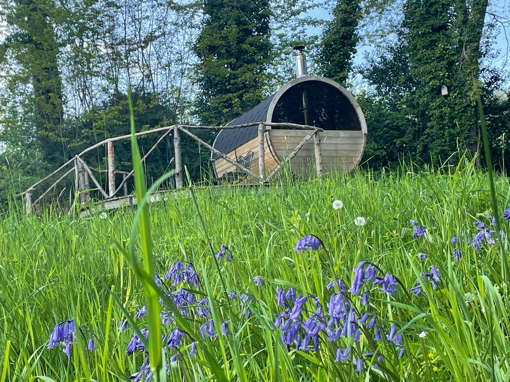 Picture of the sauna cabin in the rear with grass and bluebells in front